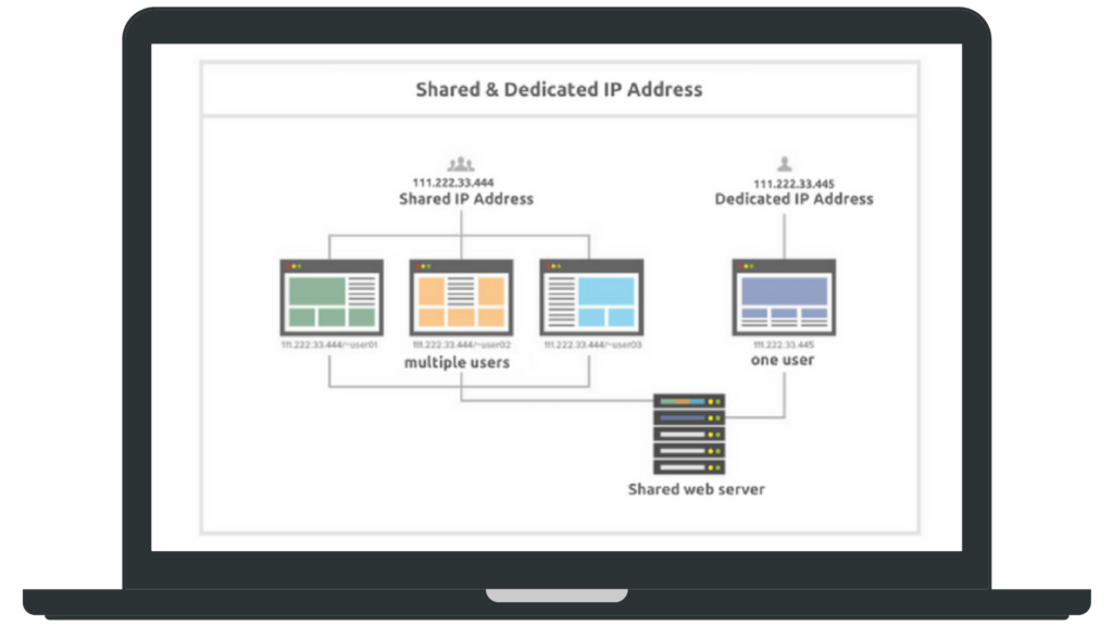 IP Options